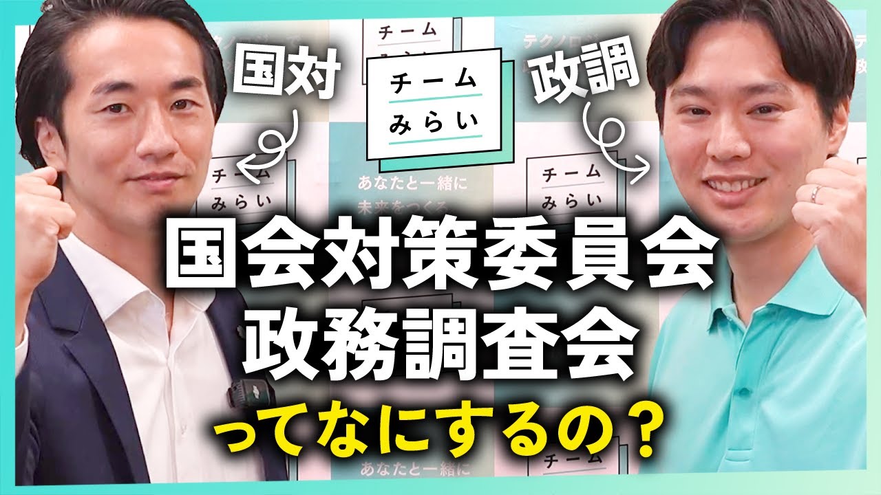 【本人解説】国会対策委員会と政務調査会の役割とは？【チームみらい】