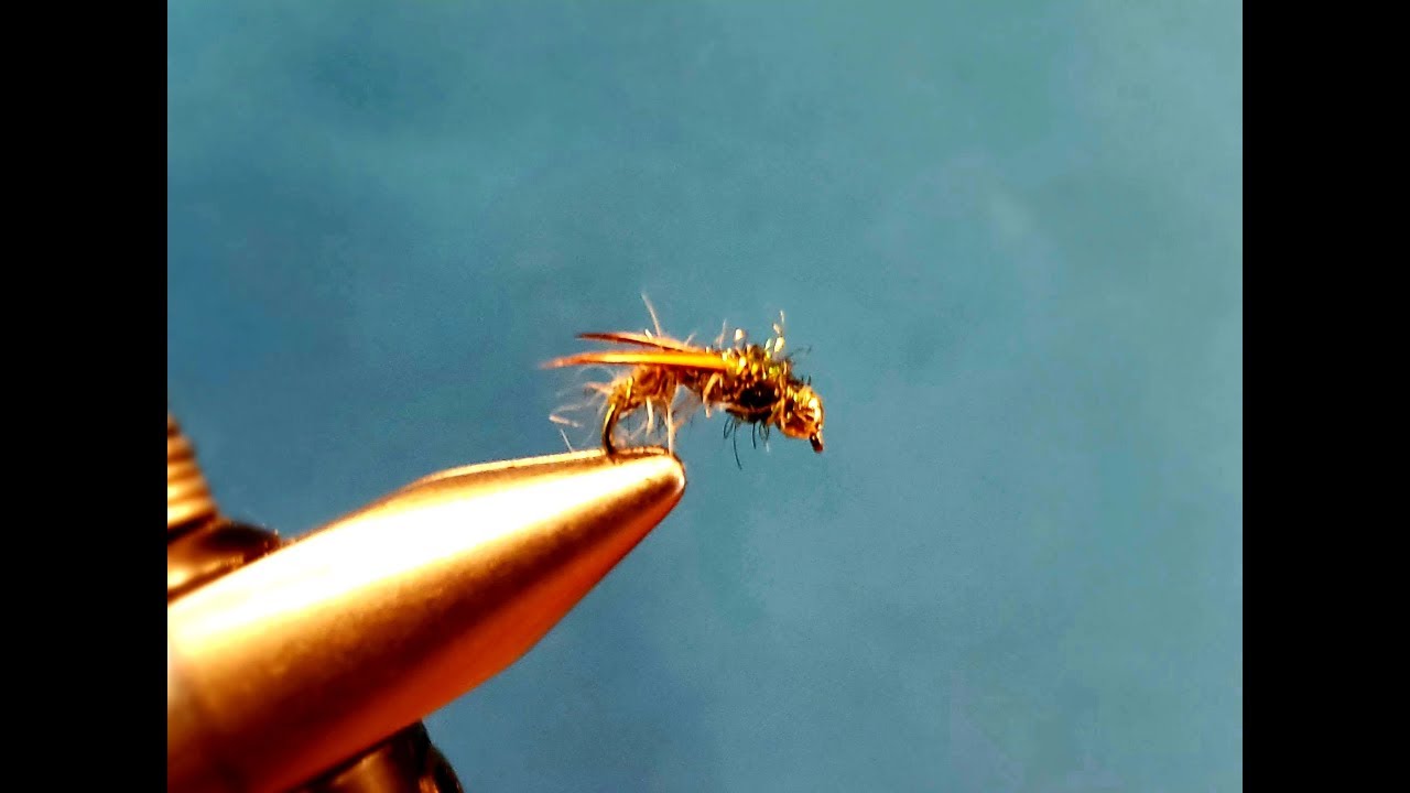 Tying The Squirrels Nest Nymph