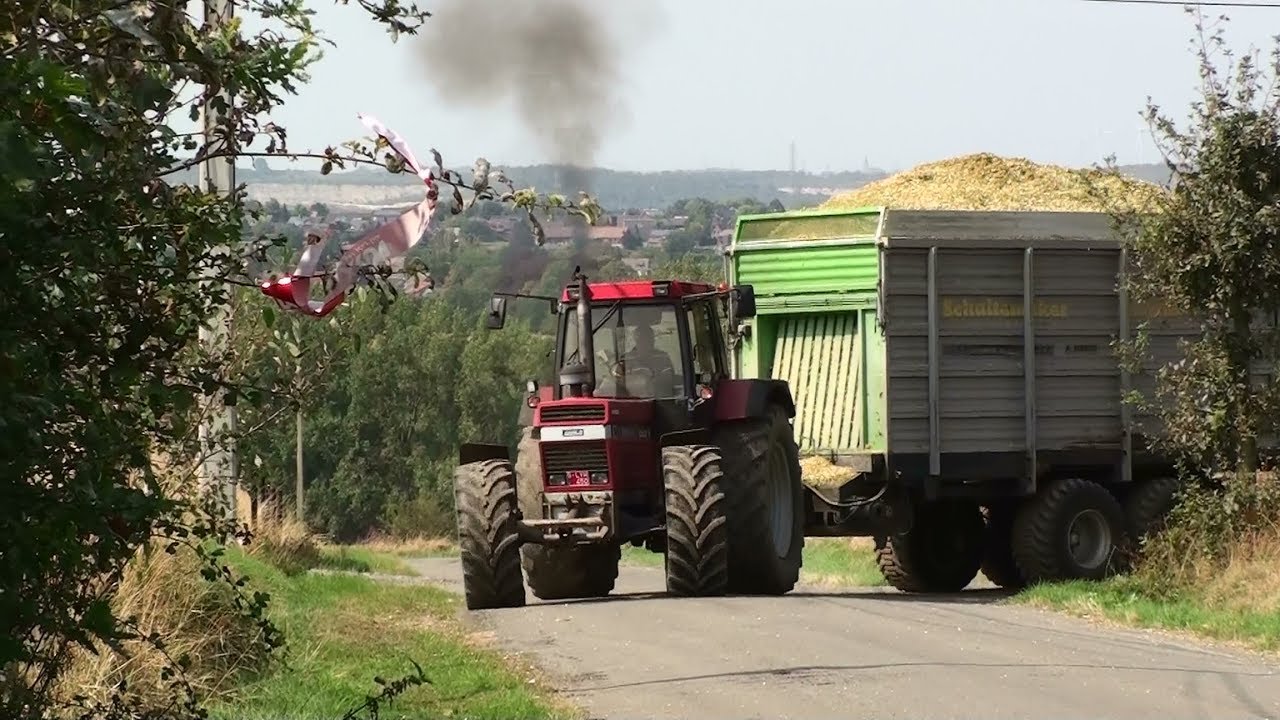 Mais Hakselen 2018 : Claas Jaguar 880 / Case 1455XL / Case 230 CVX
