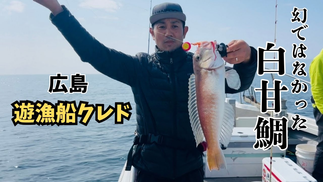 【広島遊漁船 credo】幻のシロアマ【甘鯛釣り】
