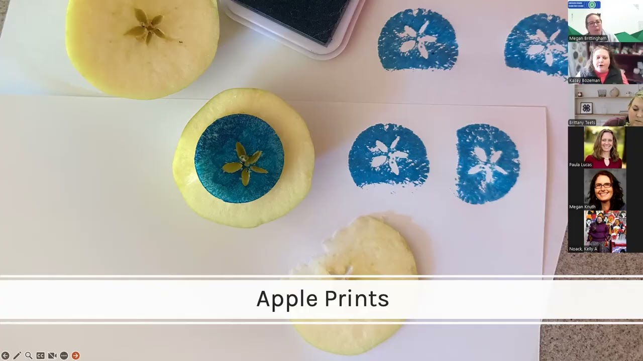 Apple solutely Fun Agriculture