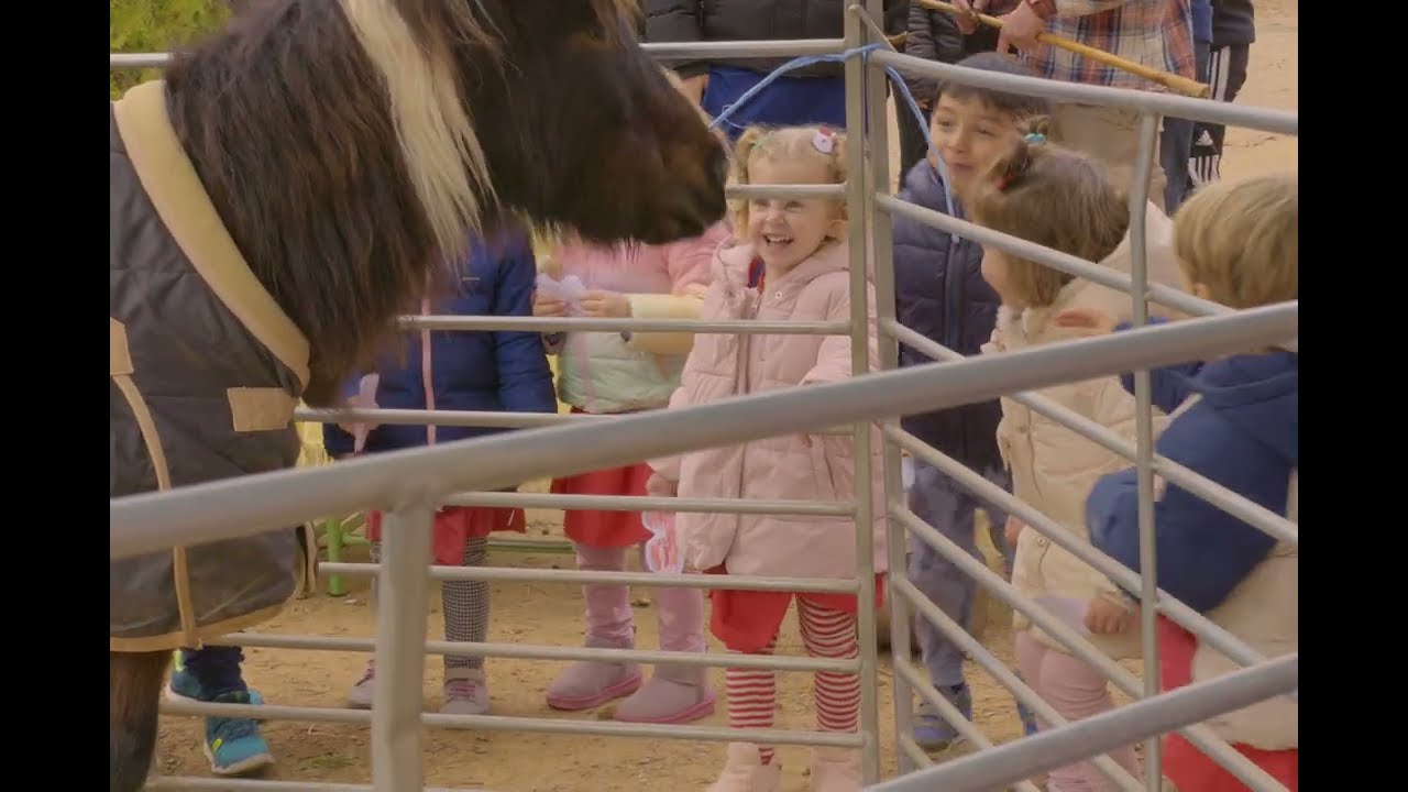 Живая рождественская композиция в школе Лас-Виньяс в Теруэле, 2025 год.