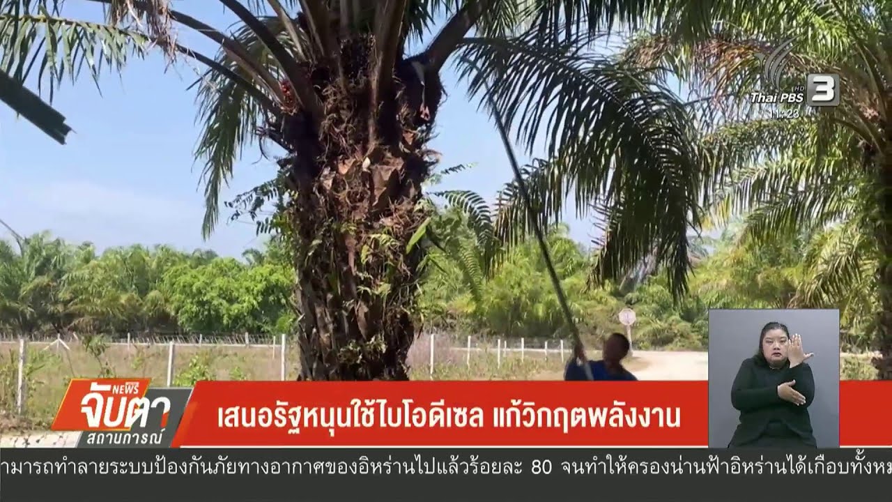 เสนอรัฐหนุนใช้ไบโอดีเซล แก้วิกฤตพลังงาน