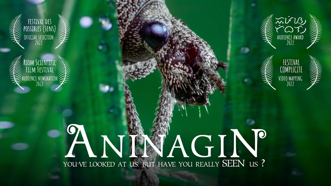 AninagiN 🪲 The insects movie with only sounds | Full film (46mn) l Free watch