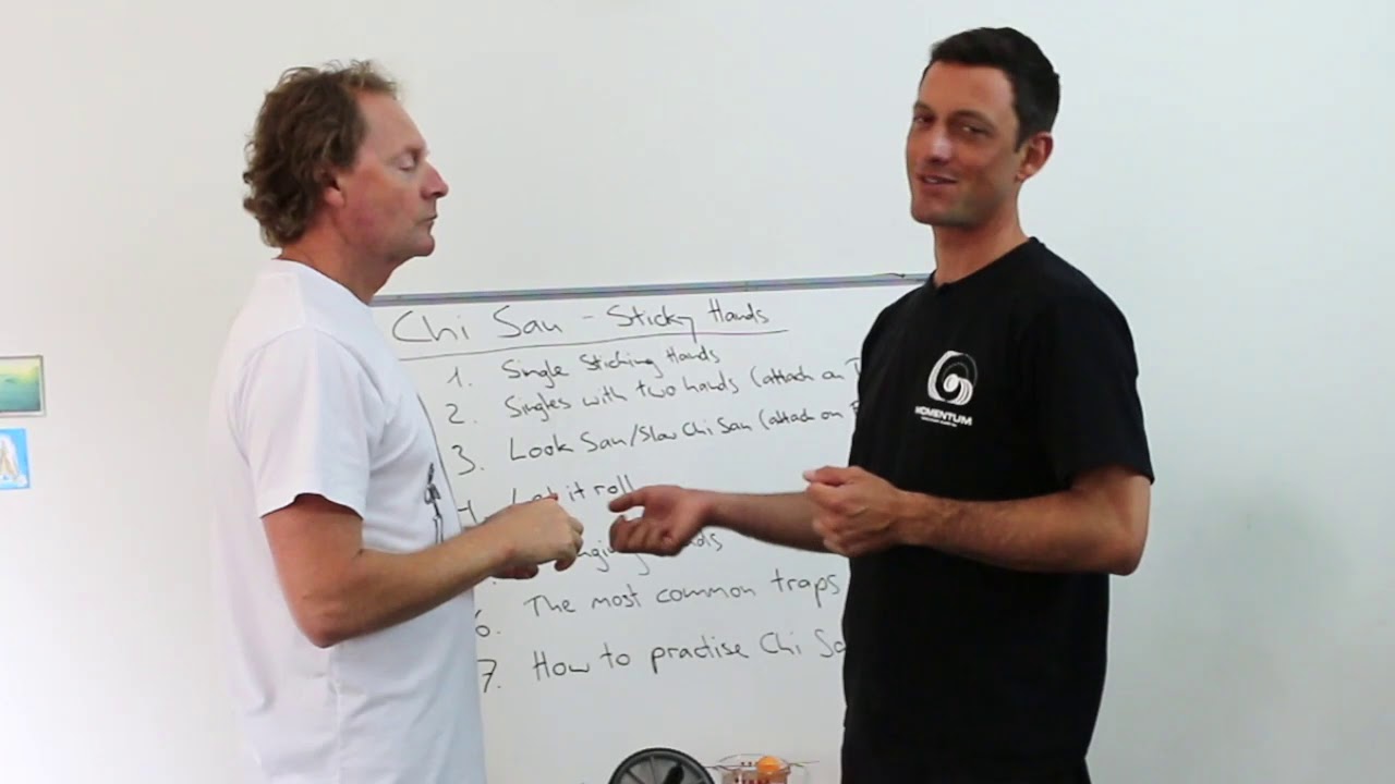 010 Chi Sau - Momentum Wing Chun - Andre Quin