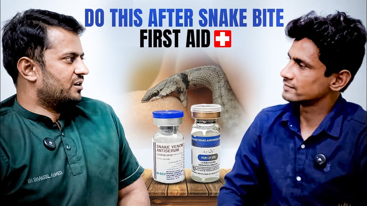 Snake bite First aid Explanation | Never do this after snake bite