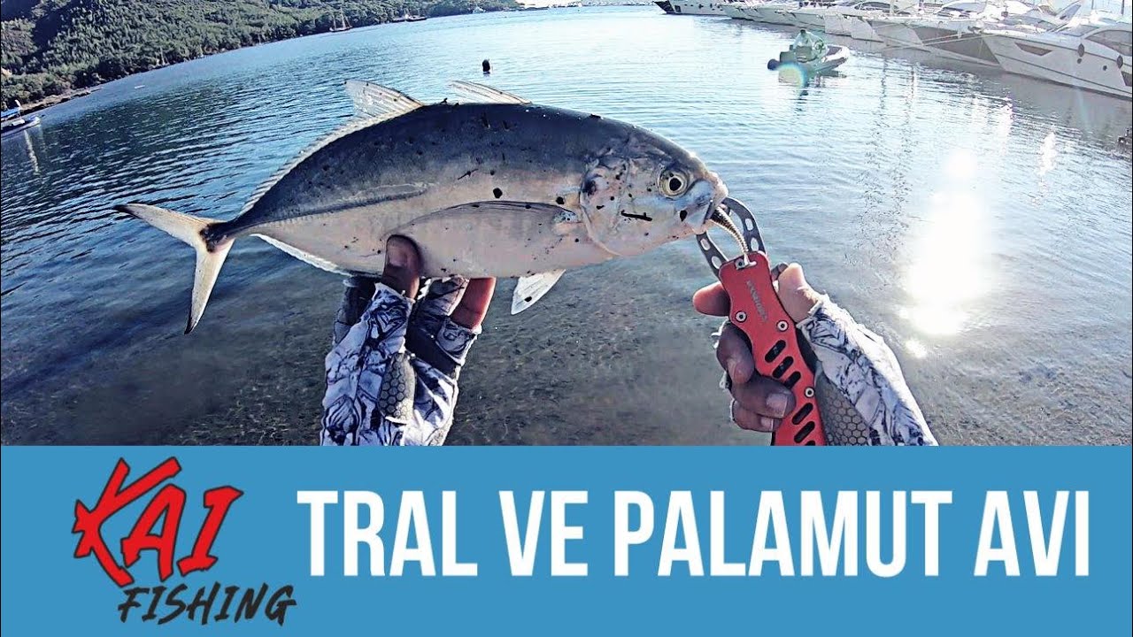 SİLİKON İLE TRAL VE PALAMUT AVI