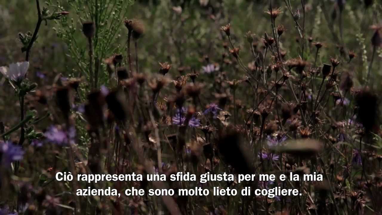 Migros Spot: Coltivazione di cereali TerraSuisse