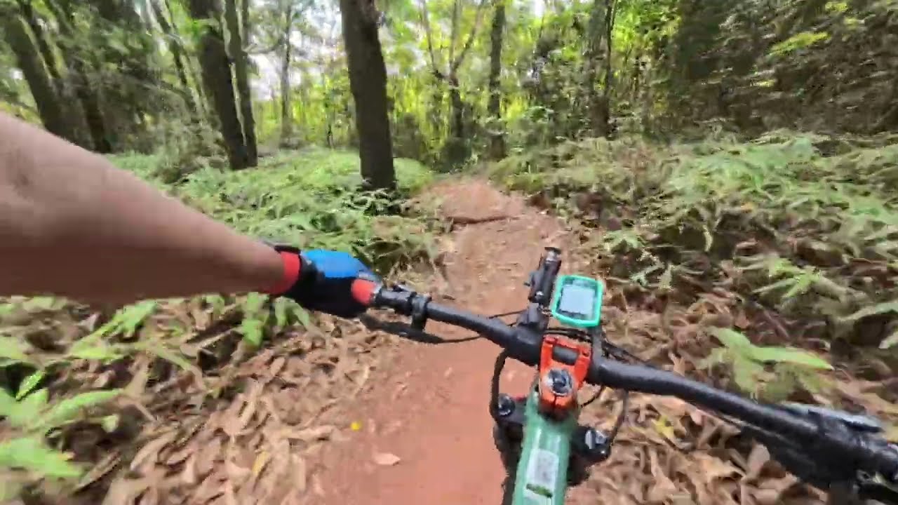 Parabellum trail - TMBT