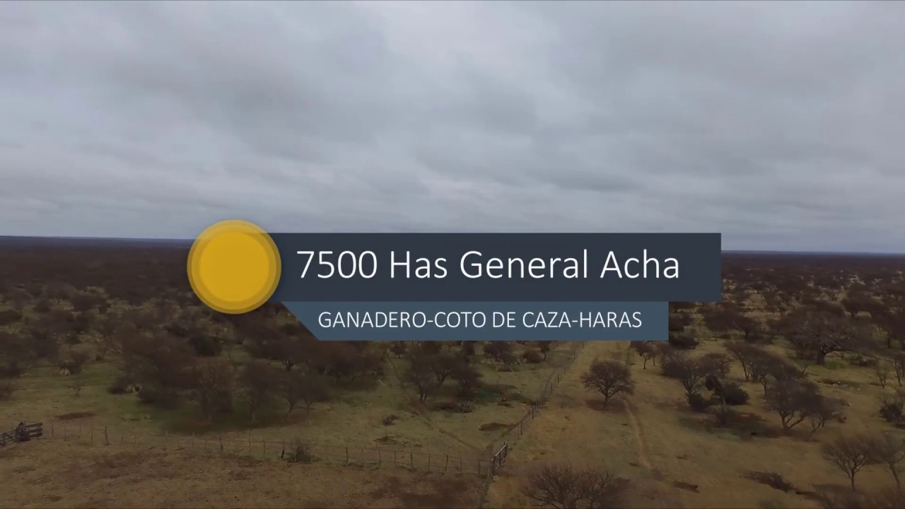 7500Has General Acha - La Pampa - Argentina