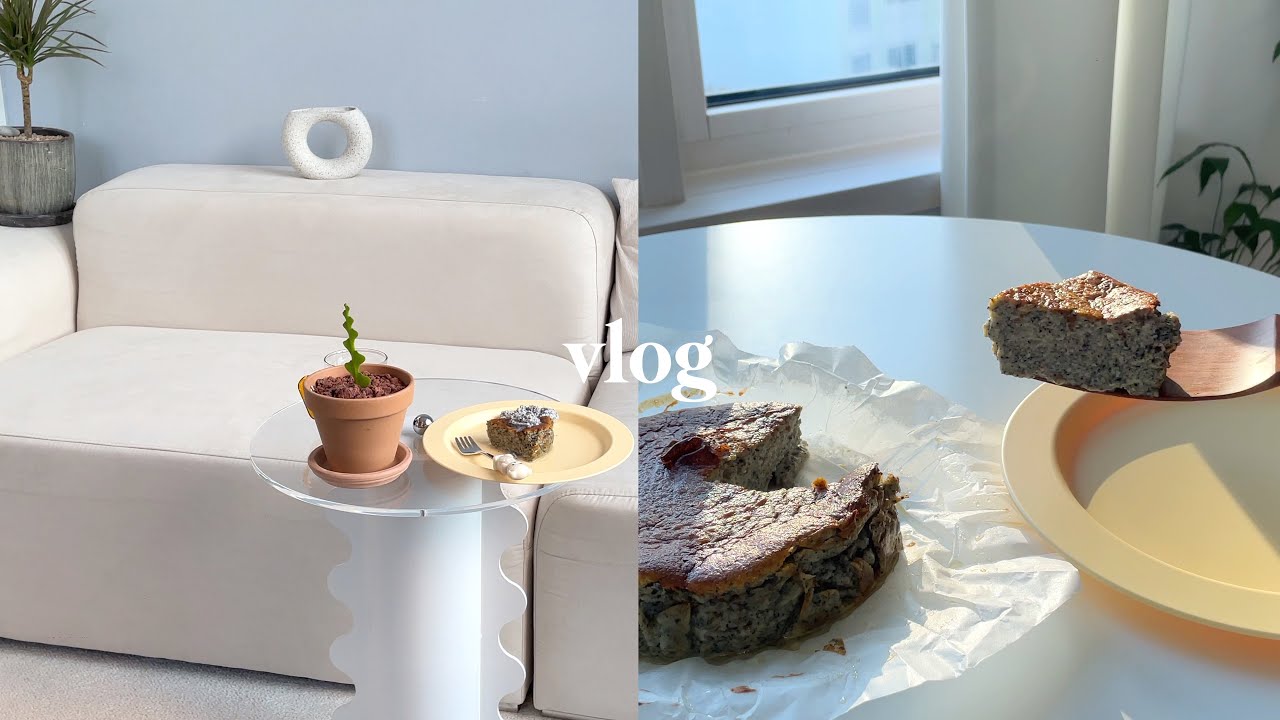 (sub) vlog🧁 새로운 분위기로 거실 인테리어•에어프라이어로 흑임자 치즈케이크 만들기 (접시하울, 가구조립, 백신고민토크💭) - LIVING ALONE DIARIES