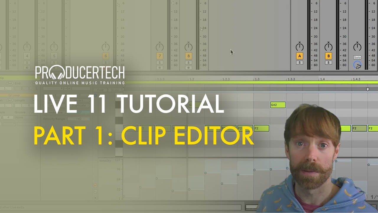 Ableton Live 11 tutorial part 1: Creating a bassline in the clip editor