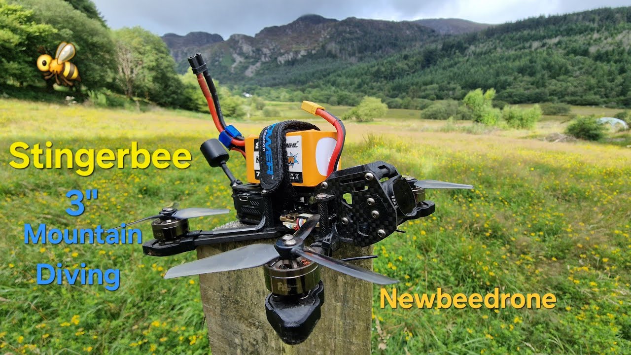 Newbeedrone Stingerbee Sub 250g 3