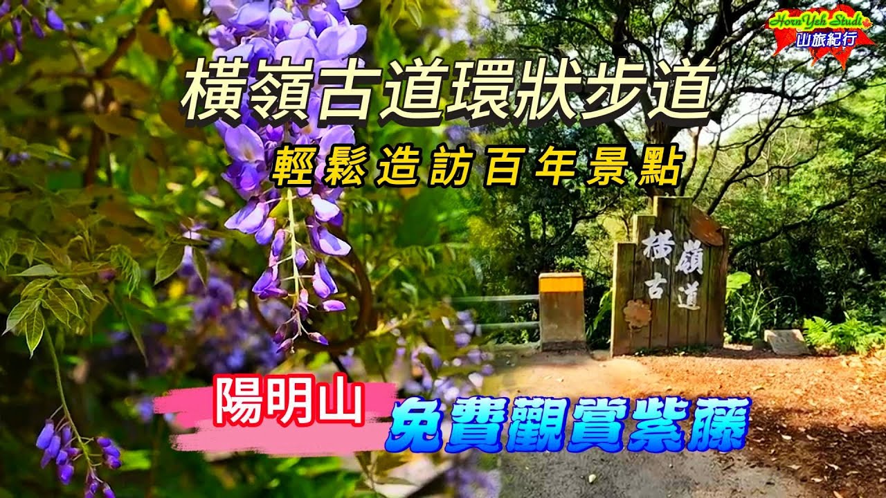 橫嶺古道環狀步道 輕鬆造訪百年景觀的五星級步道 | 順賞陽明山公車總站前公園紫藤 每年三四月是最佳觀賞期