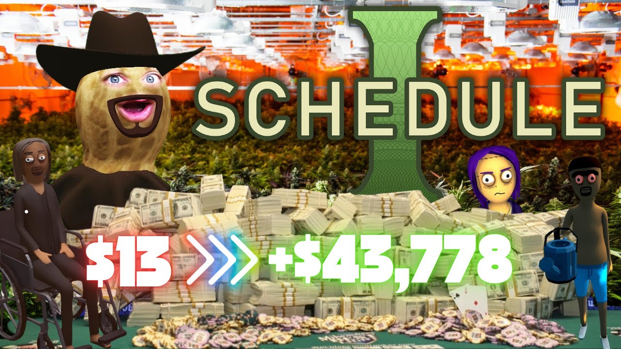 Peanut Plays SCHEDULE 1 For The FIRST TIME