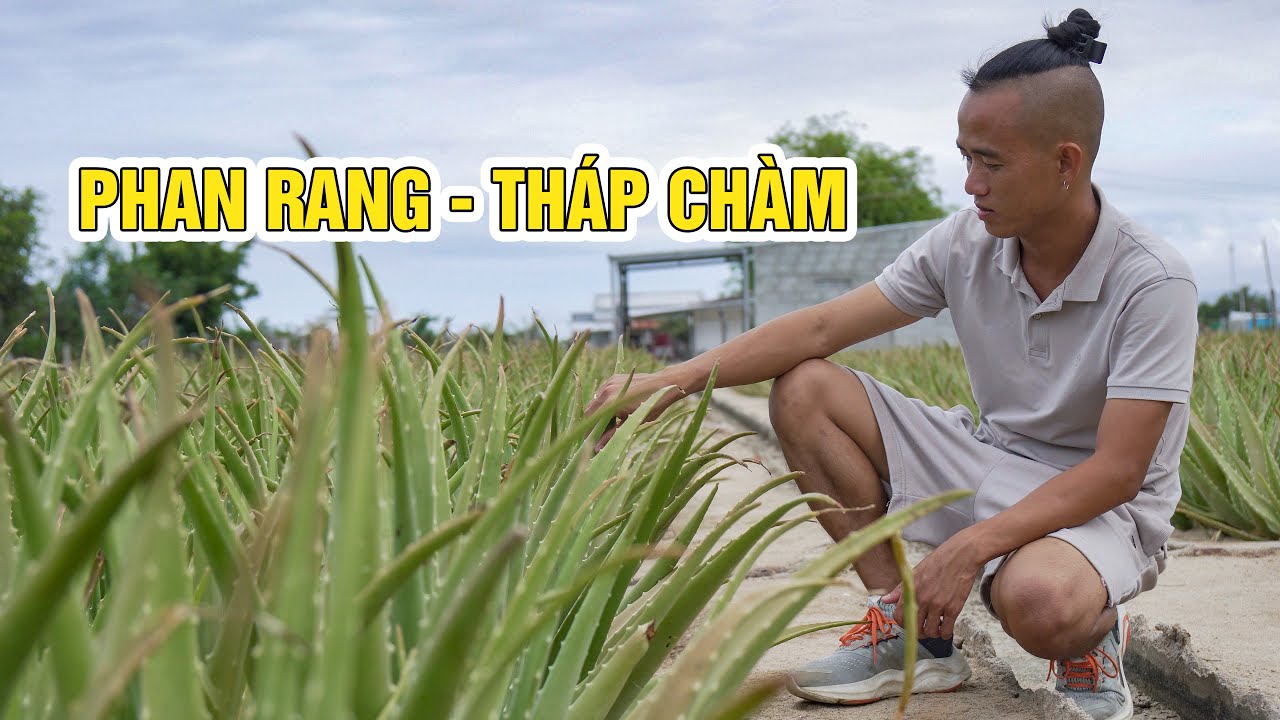 Review tất tần tần về thành phố Phan Rang Tháp Chàm ai cũng cần