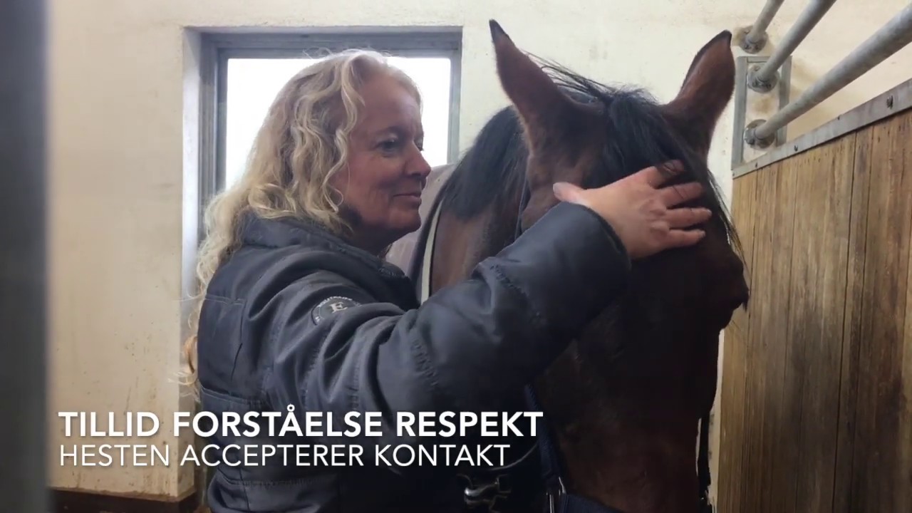Biodynamisk Kraniosakral Terapi til heste