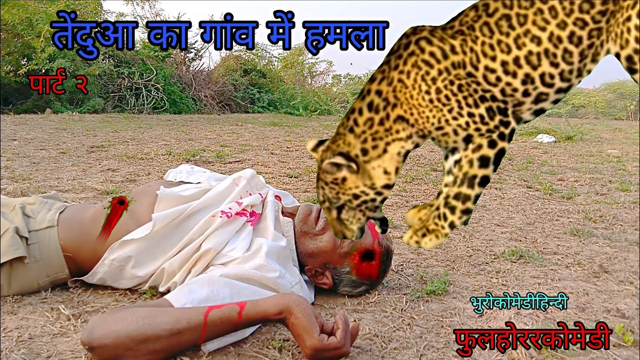 तेंदुआ का गांव में हमला पार्ट २|bhurocomedyhindi|hindivideo|foolhorrorcomedy 