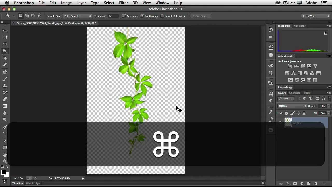 How To Use Images As Brushes in Adobe Illustrator CC