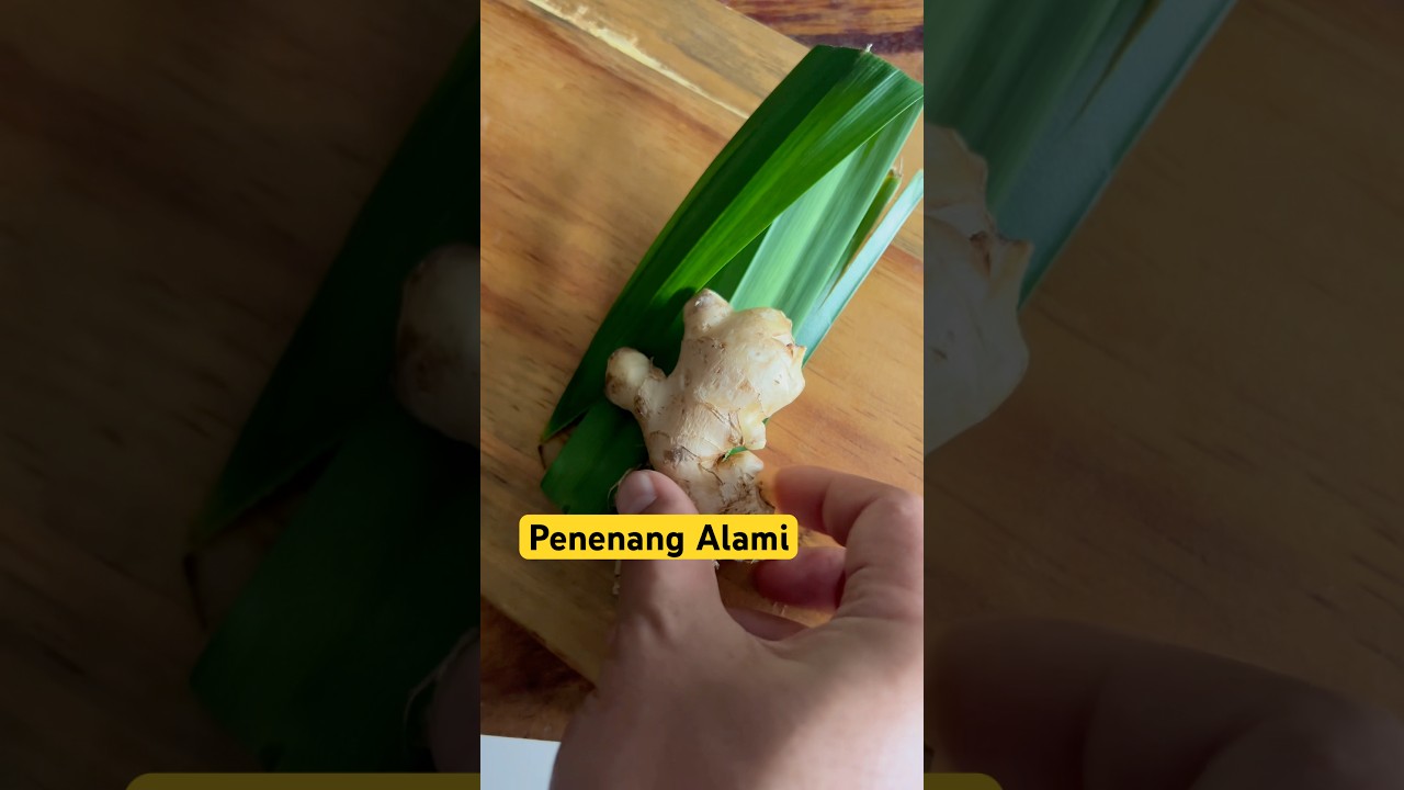 Manfaat Jahe & Daun Pandan : Ustadz Zaidul Akbar