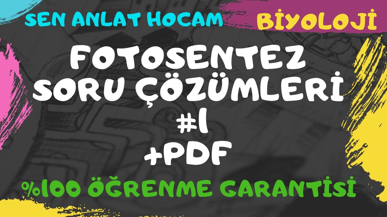 FOTOSENTEZ SORU ÇÖZÜMLERİ 1//FOTOSENTEZ SORU ÇÖZÜMÜ// #AYT // +PDF ✅