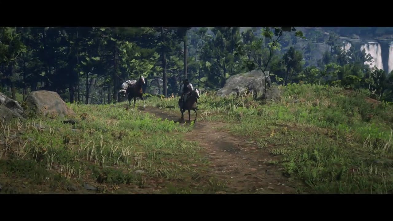 Rare Item Location - NEW PLAYERS - GO HERE! Red Dead Redemption 2 