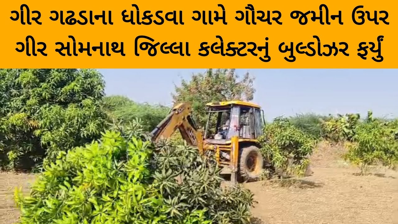ગીર ગઢડાના ધોકડવા ગામે ગૌચર જમીન ઉપર ગીર સોમનાથ જિલ્લા કલેક્ટરનું બુલ્ડોઝર ફર્યું VOICE OF GIR