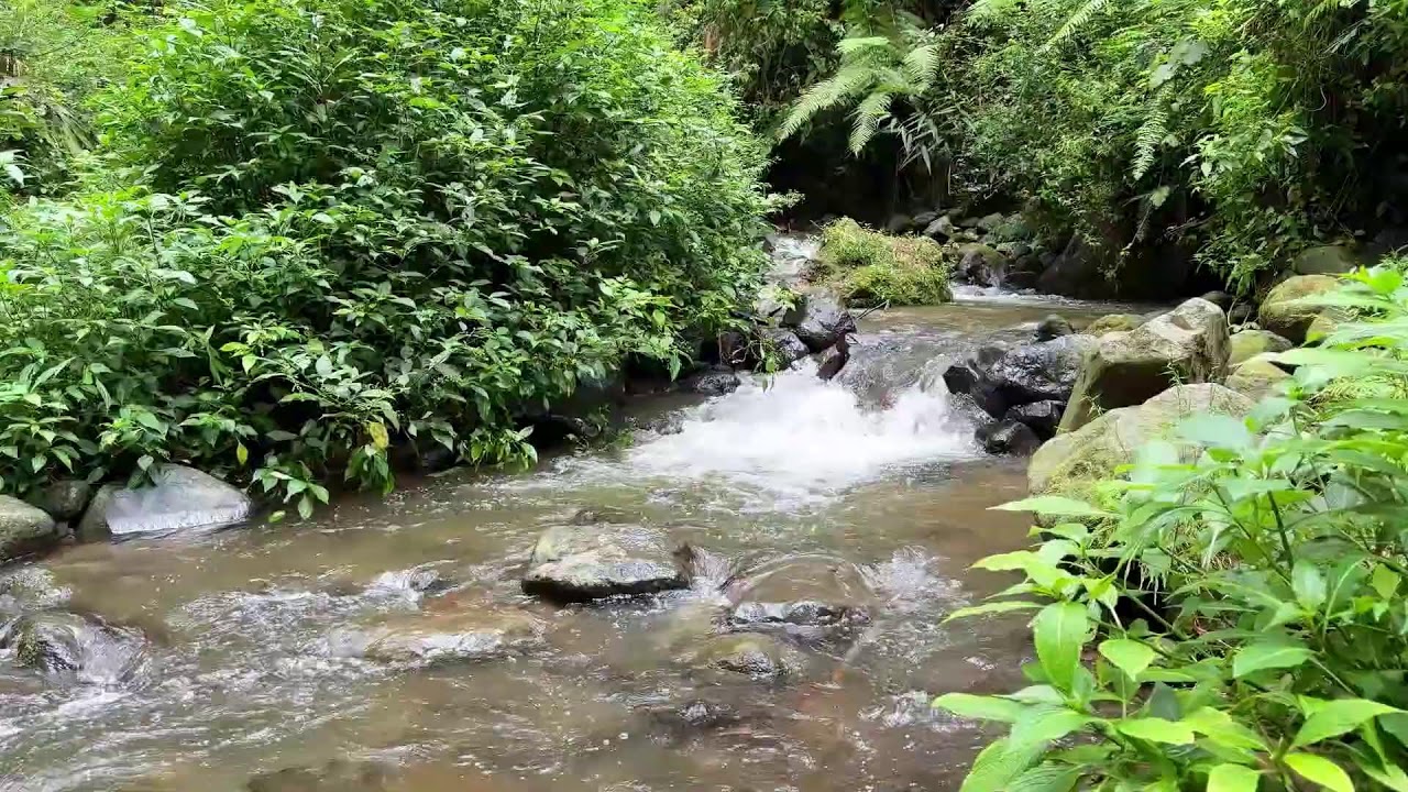 Calming river sound near soft moving water letting deep sleep take over peacefully