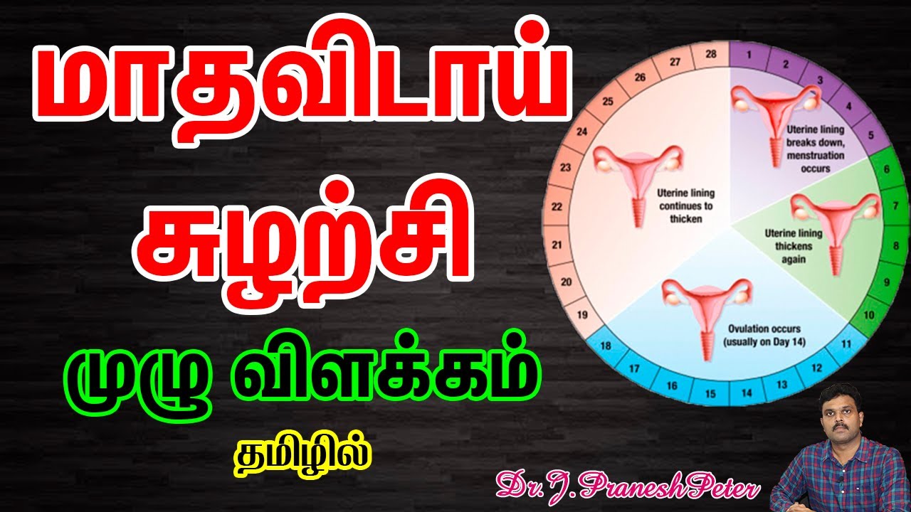 Periods Explained in Tamil | மாதவிடாய் சுழற்சி முழு விளக்கம் தமிழில் | Menstrual Cycle In Tamil |