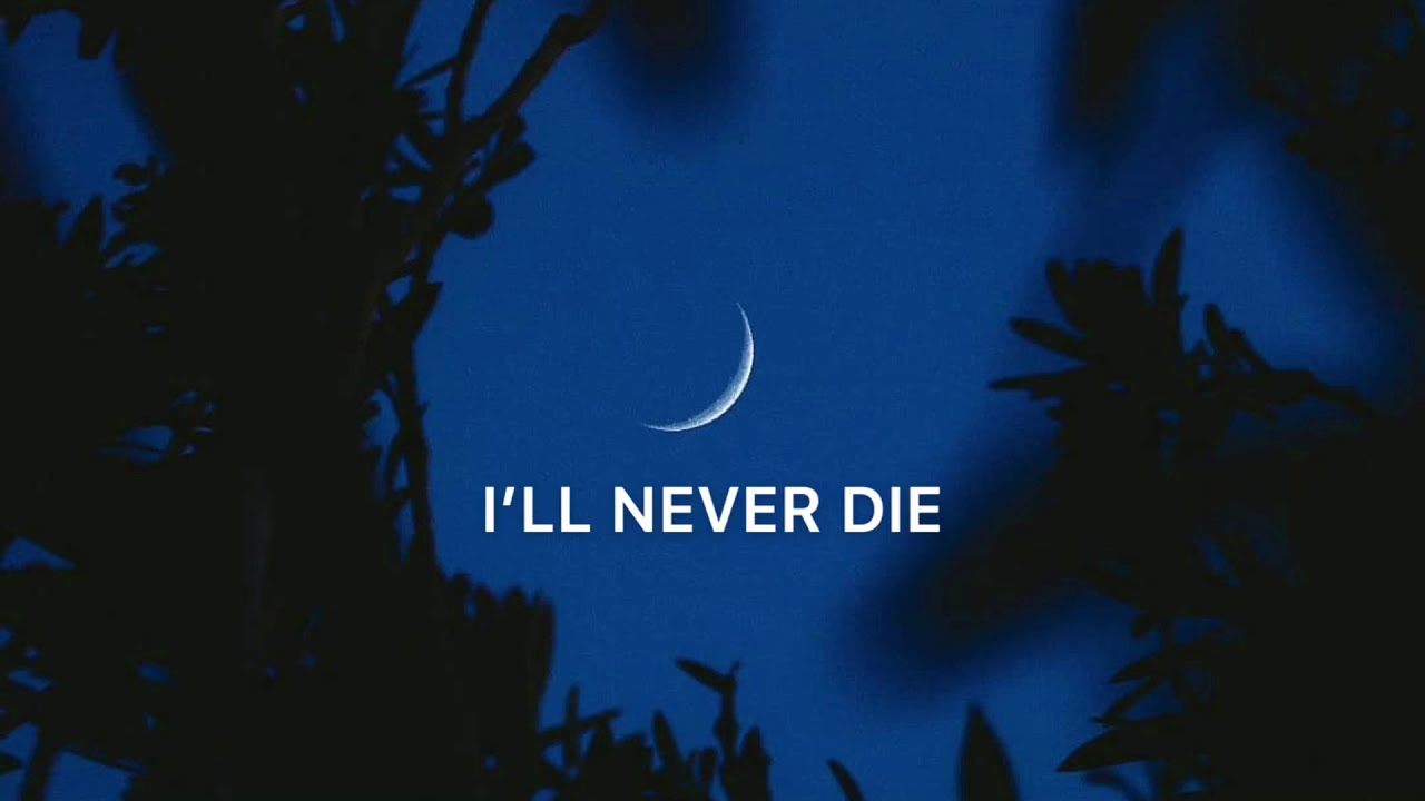 I&rsquo;LL NEVER DIE - DANIEL GUNNARSSON (LYRICS)