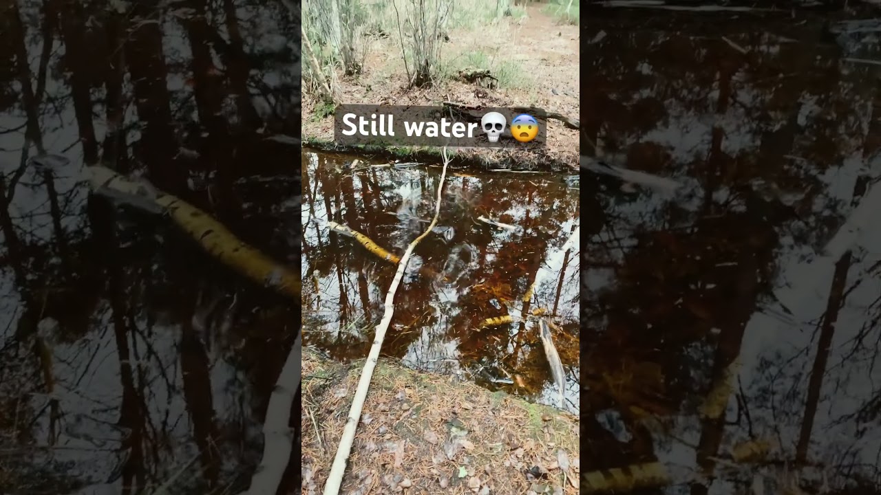 Still water😨😱 (don’t mind my miss) 