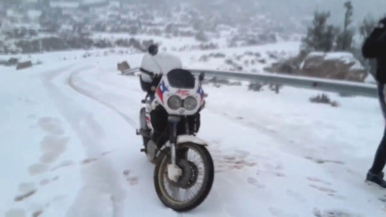 مراكش، غابة توفليحت، زرقطن  motovlog Marrakech, forêt Toufliht