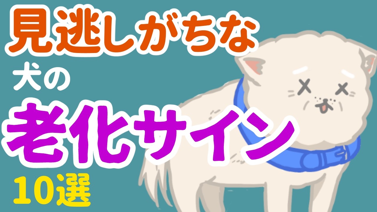 愛犬が8歳以上なら要注意！見逃しやすい犬の老化サイン10選