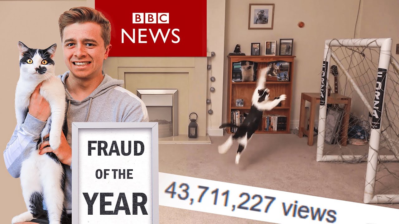 My Cat and I Fooled the World