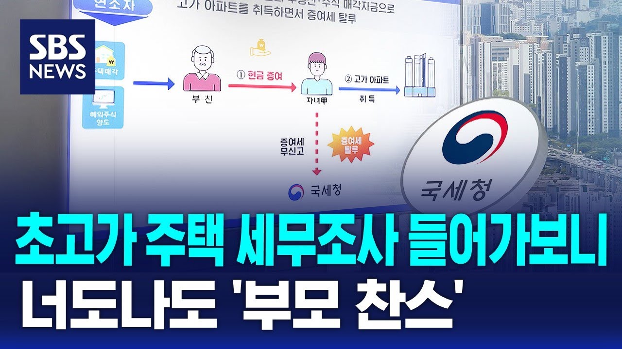 초고가 주택 세무조사 들어가보니&hellip;너도나도 '부모 찬스' / SBS