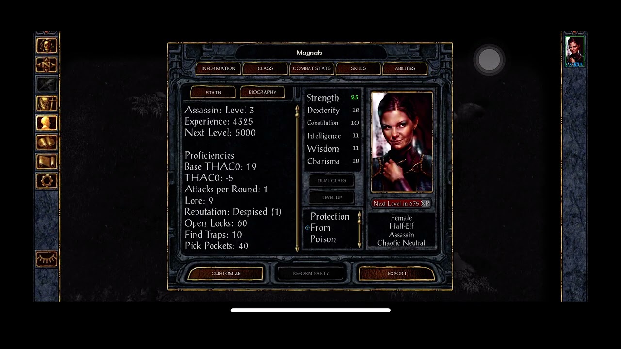 Baldur’s Gate 1: Enhanced Edition - iOS