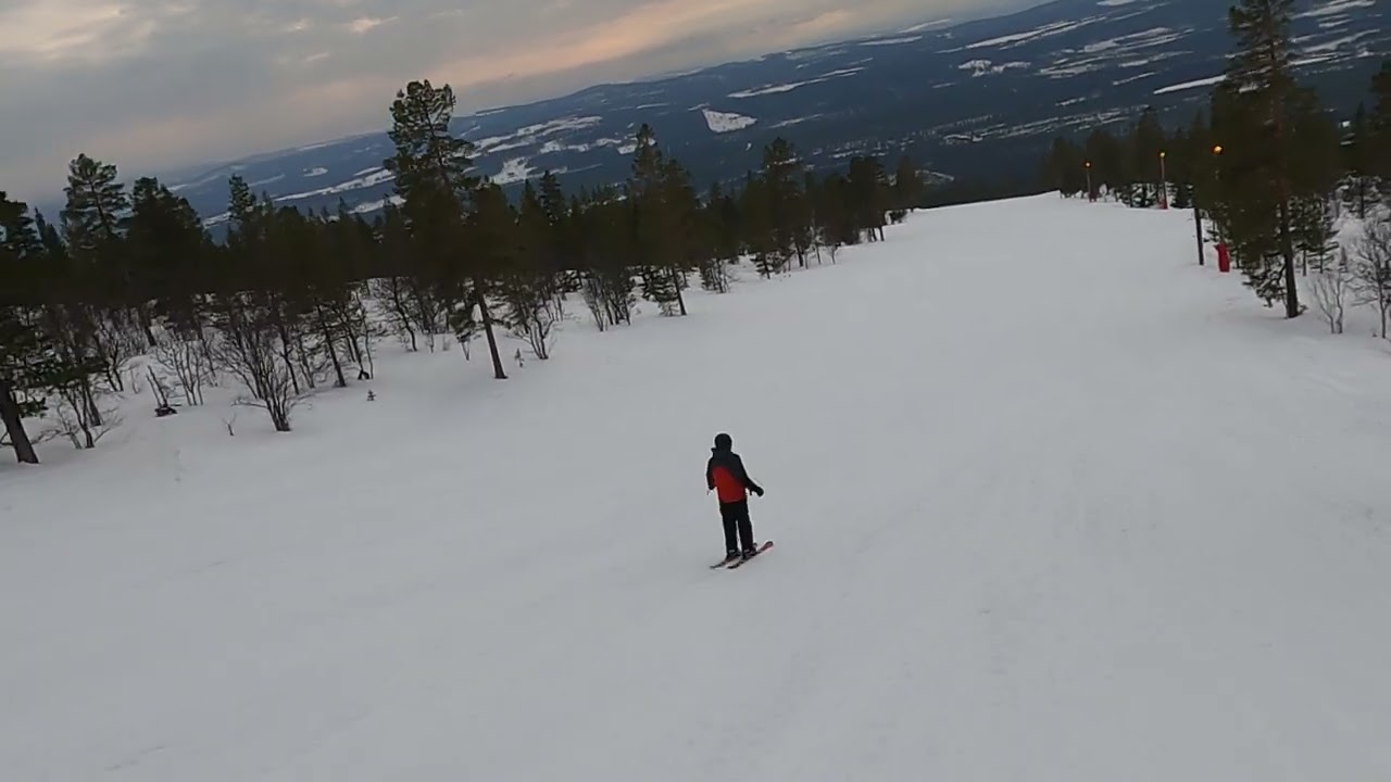Vemdalen - Björnrike - Slope 14 Riket into forrest, black