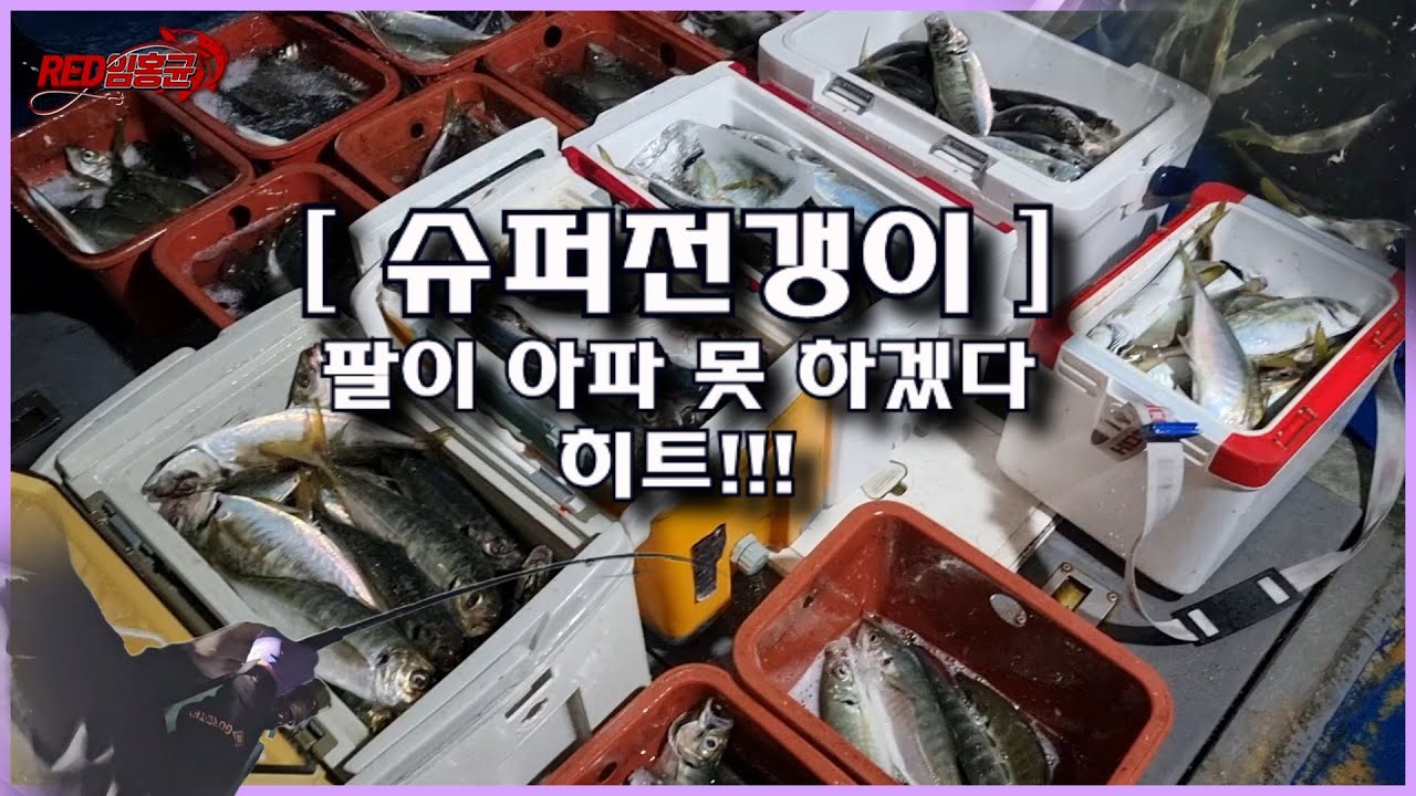 슈퍼전갱이 5짜 [ 초보도 잡는 국민 생선 ] 1초 퍽퍽 4짜 5초 퍽 3짜 10초 히트!!! - 🐟 메가리,아지 ( アジ ) mackerel 🐟 야이바엑스 스즈나리사비키 11호