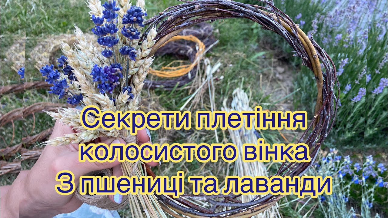 Секрети плетіння вінка з пшенниці та лаванди…
