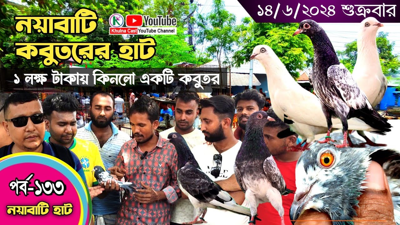 সবথেকে বড় কবুতরের হাট পর্ব-১৩৩ Largest pigeon market in Khulna খালিশপুর, নয়াবাটি, চিত্রালী, খুলনা