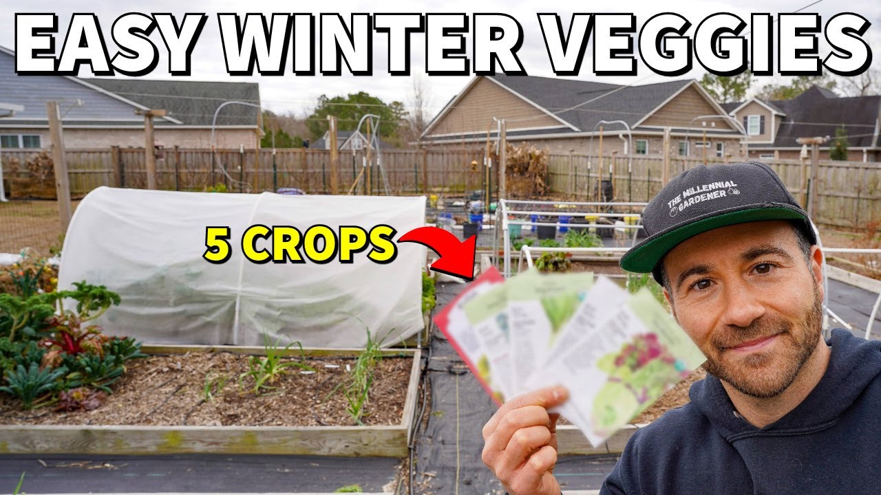 The 5 EASIEST Winter Veggies To Grow RIGHT NOW!