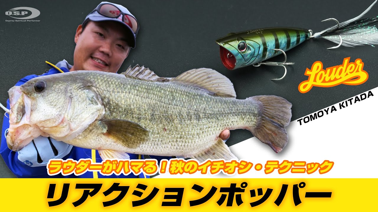 ラウダーがハマる！秋のイチオシ・テクニック「リアクションポッパー」【秋の霞ヶ浦パターン】by 北田朋也