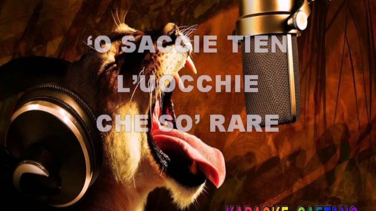 Mimmo Rocco Russulella Karaoke