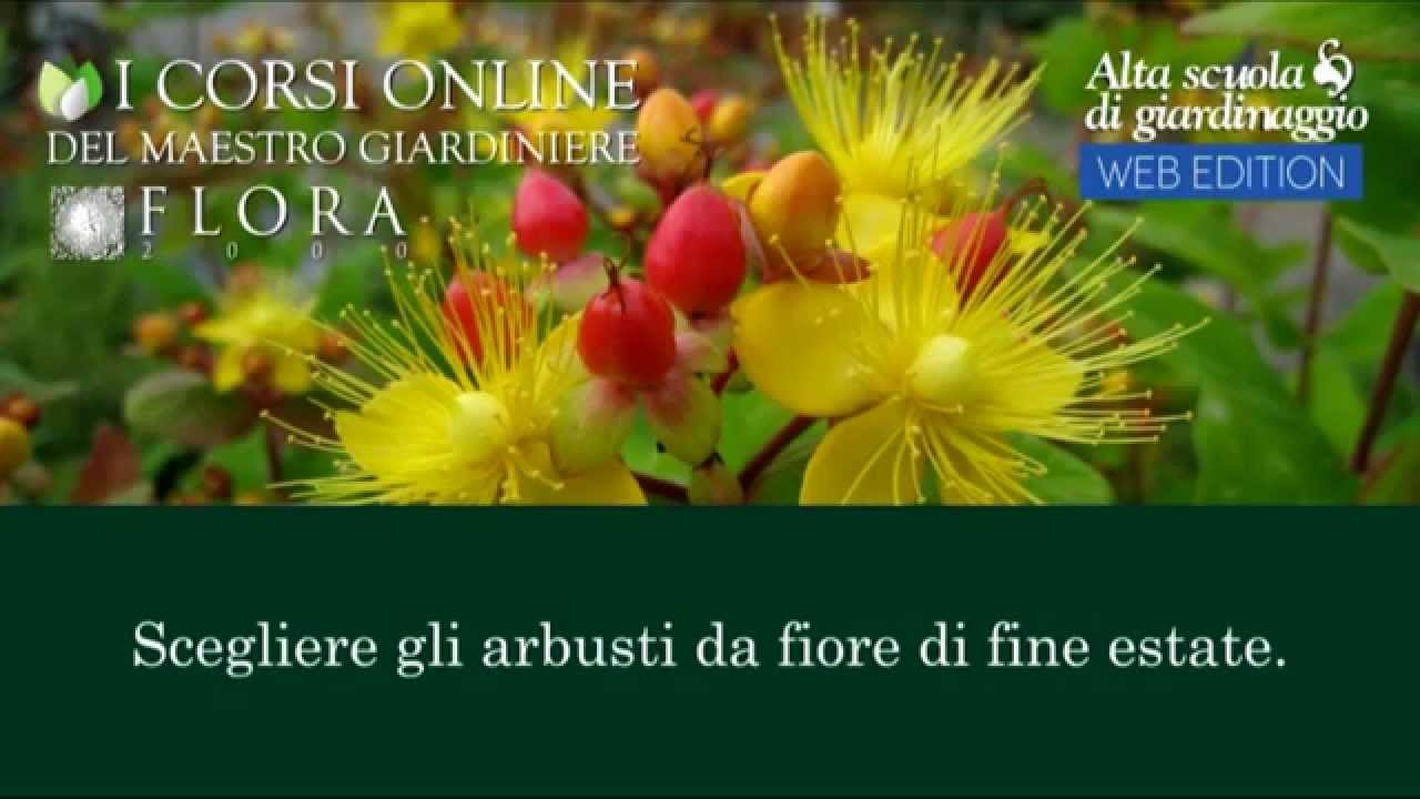19 Trailer corso 