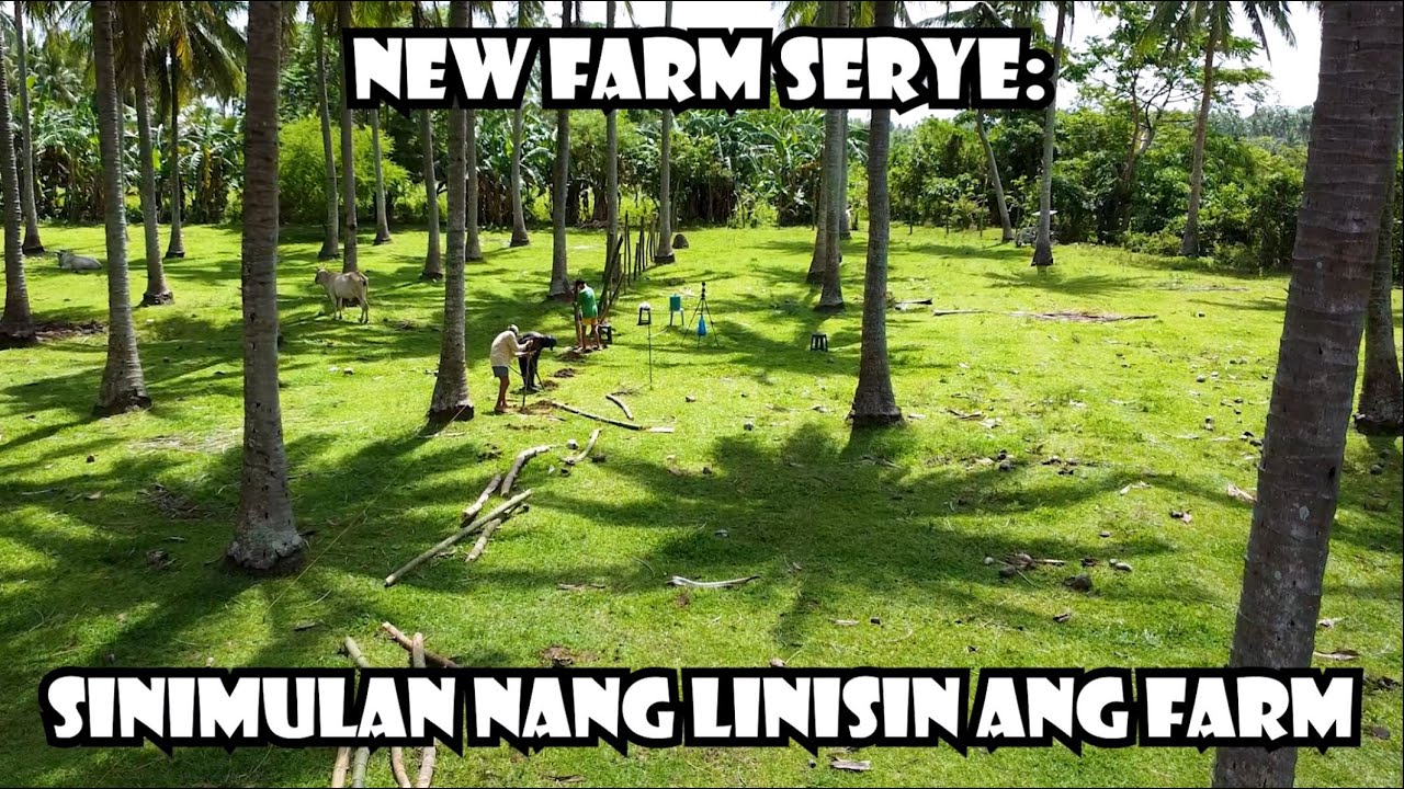 New Farm Serye: Sinimulan Linisin ang Farm