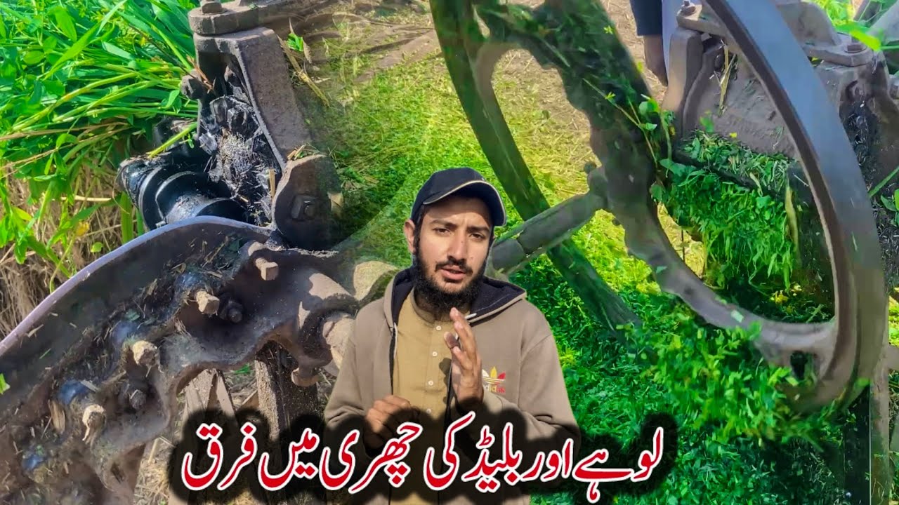 لوہے اور بلیڈ کی چھری میں فرق پٹھے کترنے کے لیے کون سے استعمال کریں