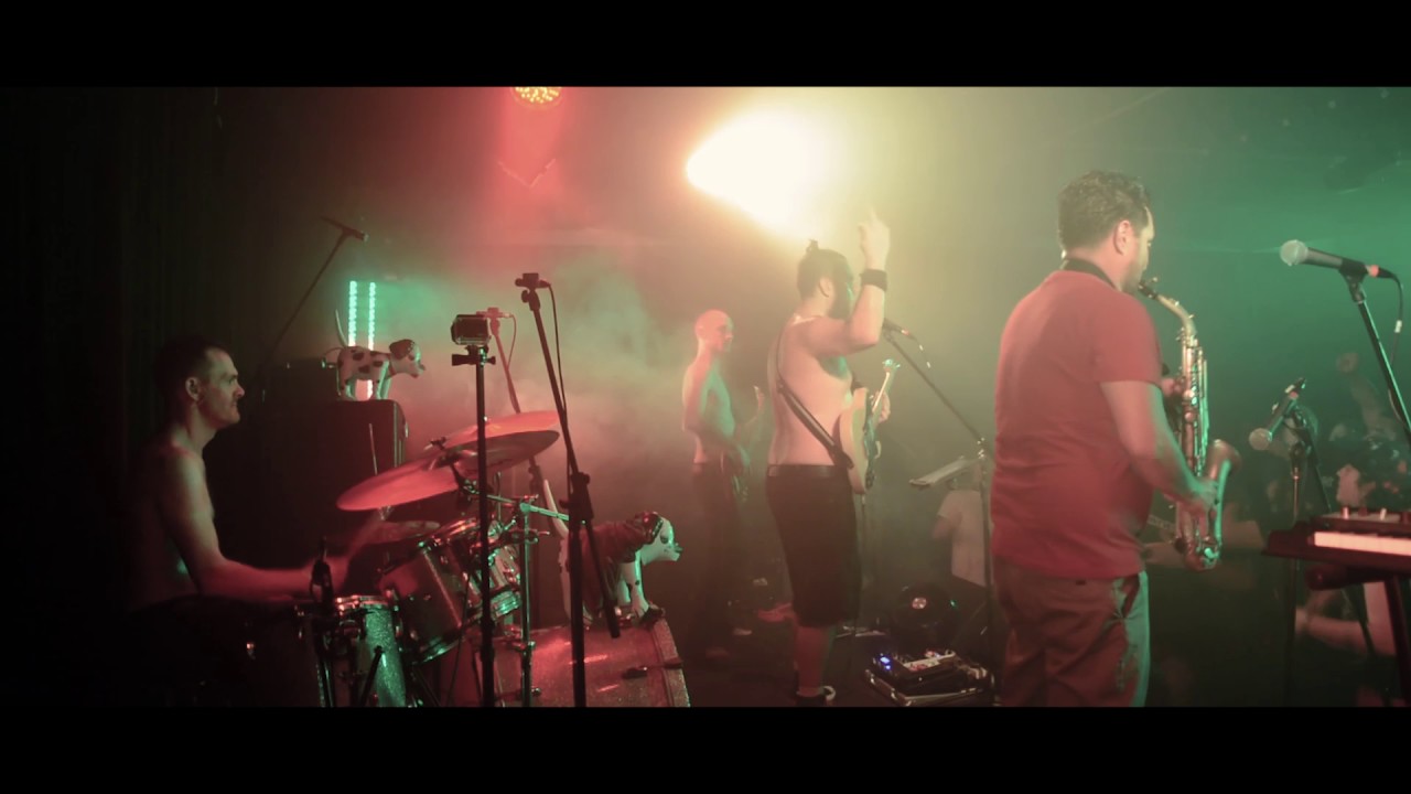 The Lou Dogs (Sublime Tribute) - LIVE at The Globe Fortitude Valley HD