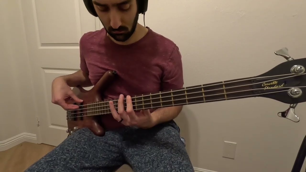Incubus - Are You In? (Bass Cover)
