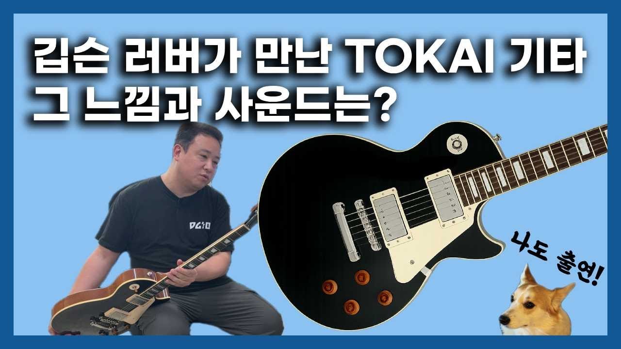 매우 궁금했던 토카이 기타를 만나다! Tokai LS101 BB 모델 일렉 기타 리뷰