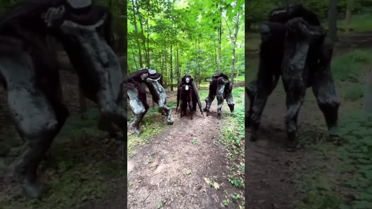 MA C&Acirc;Y  #funnyshorts #duet#survival #makinhdi